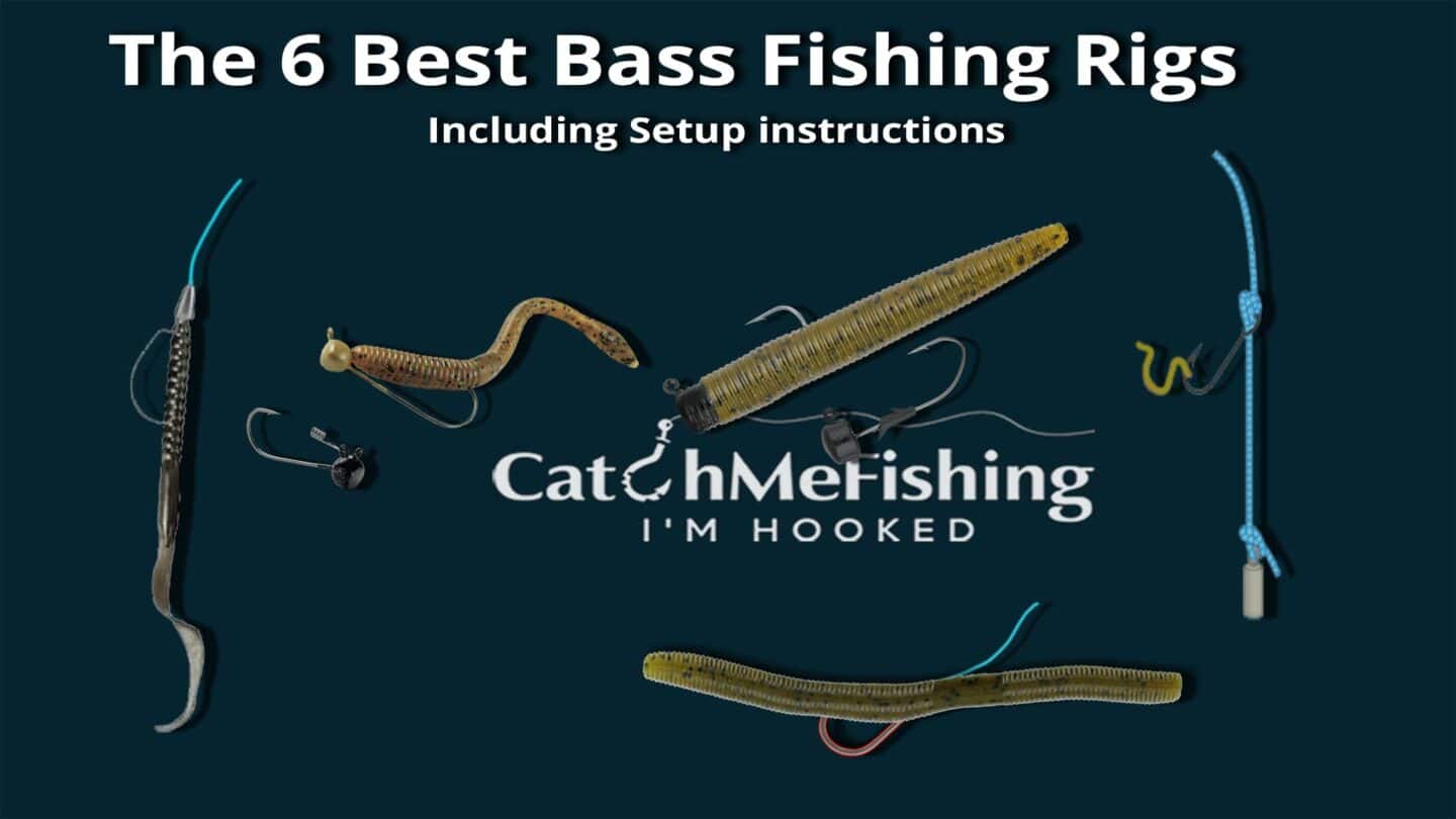 The Best Bass Fishing Rigs With Setup Instructions Catchmefishing