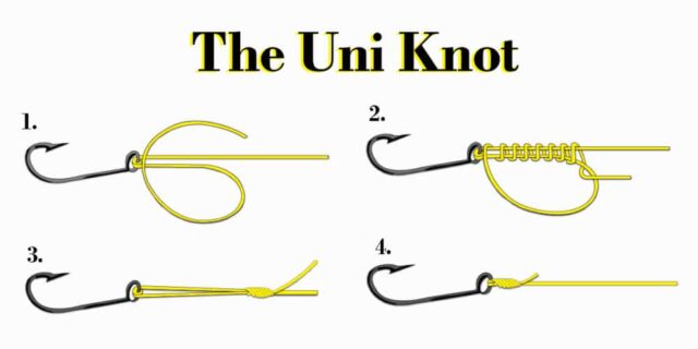 How to Tie a Uni Knot for Fishing - Tutorial Video - CatchMeFishing