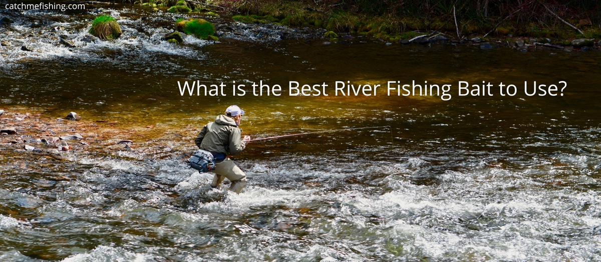 What is The Best River Fishing Bait to Use? - CatchMeFishing