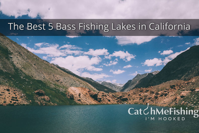 Best Bass Fishing In California - 5 Amazing Lakes - CatchMeFishing