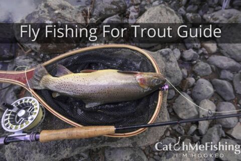 Fly Fishing for Trout Beginners Guide (Everything You Need to Know ...