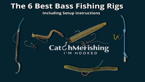 The 6 Best Bass Fishing Rigs With Setup Instructions - CatchMeFishing