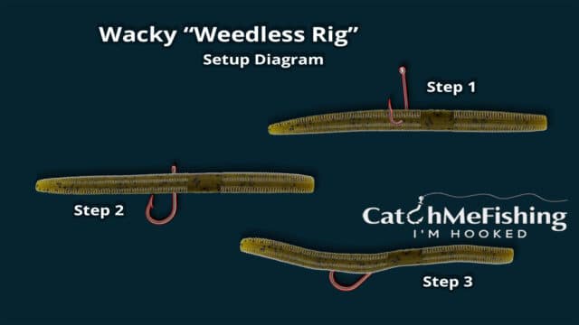 The 6 Best Bass Fishing Rigs With Setup Instructions - CatchMeFishing