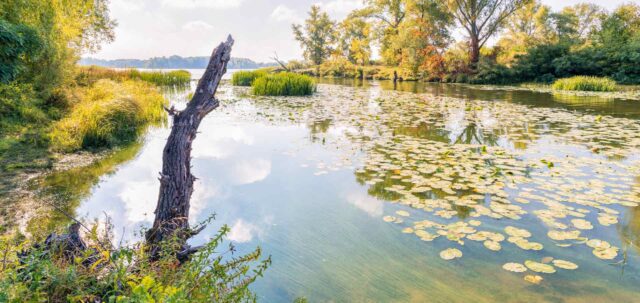 Bass Fishing From Shore - How to Fish From the Bank - CatchMeFishing