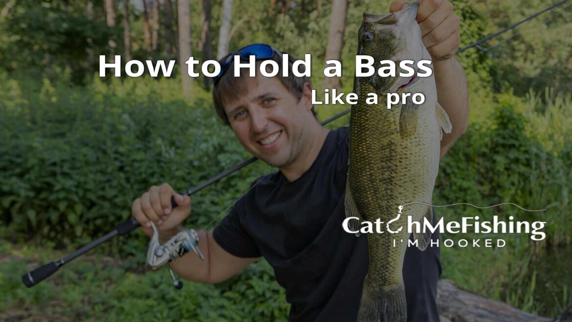 How to Hold a Bass Like a Pro: Expert Advice - CatchMeFishing