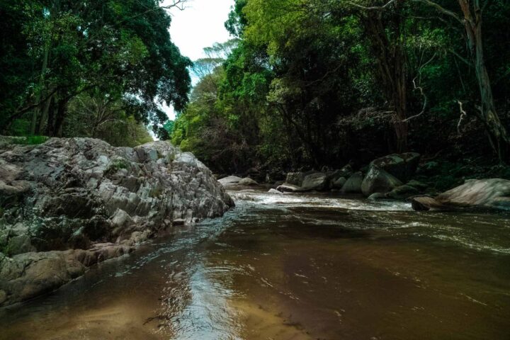 Fishing in Creeks - Make the Most out of Fishing in Streams ...